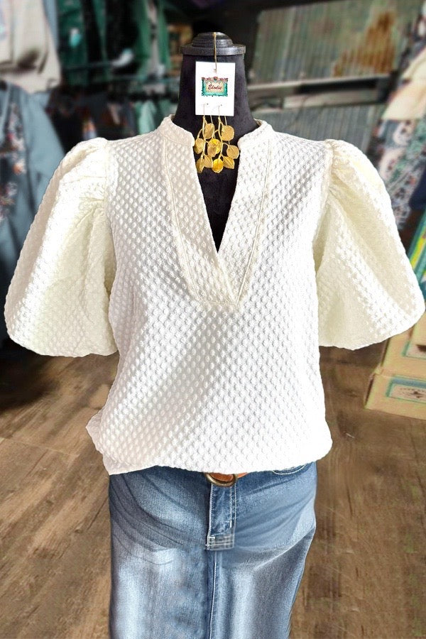 Solid Dot Jacquard V-Neck Puff Sleeve Top