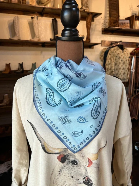 Women's Paisley Print Scarf